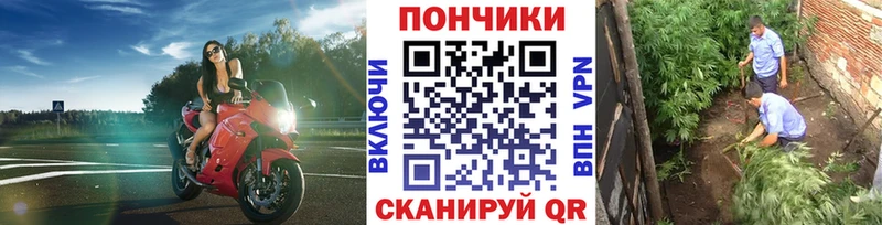 ОМГ ОМГ ссылки  Тында  Конопля гибрид 